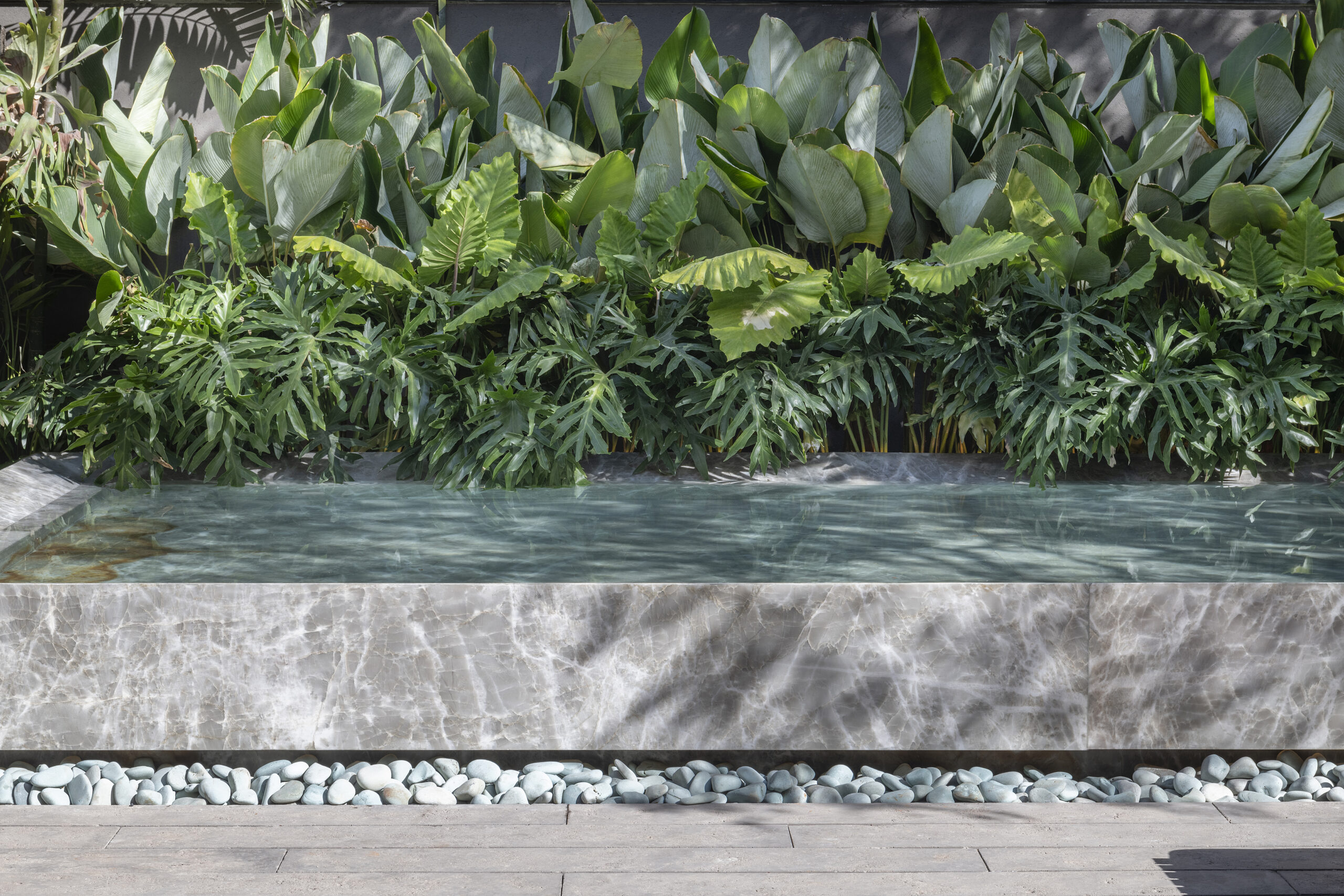 DM-Estela-Netto_DSC6226